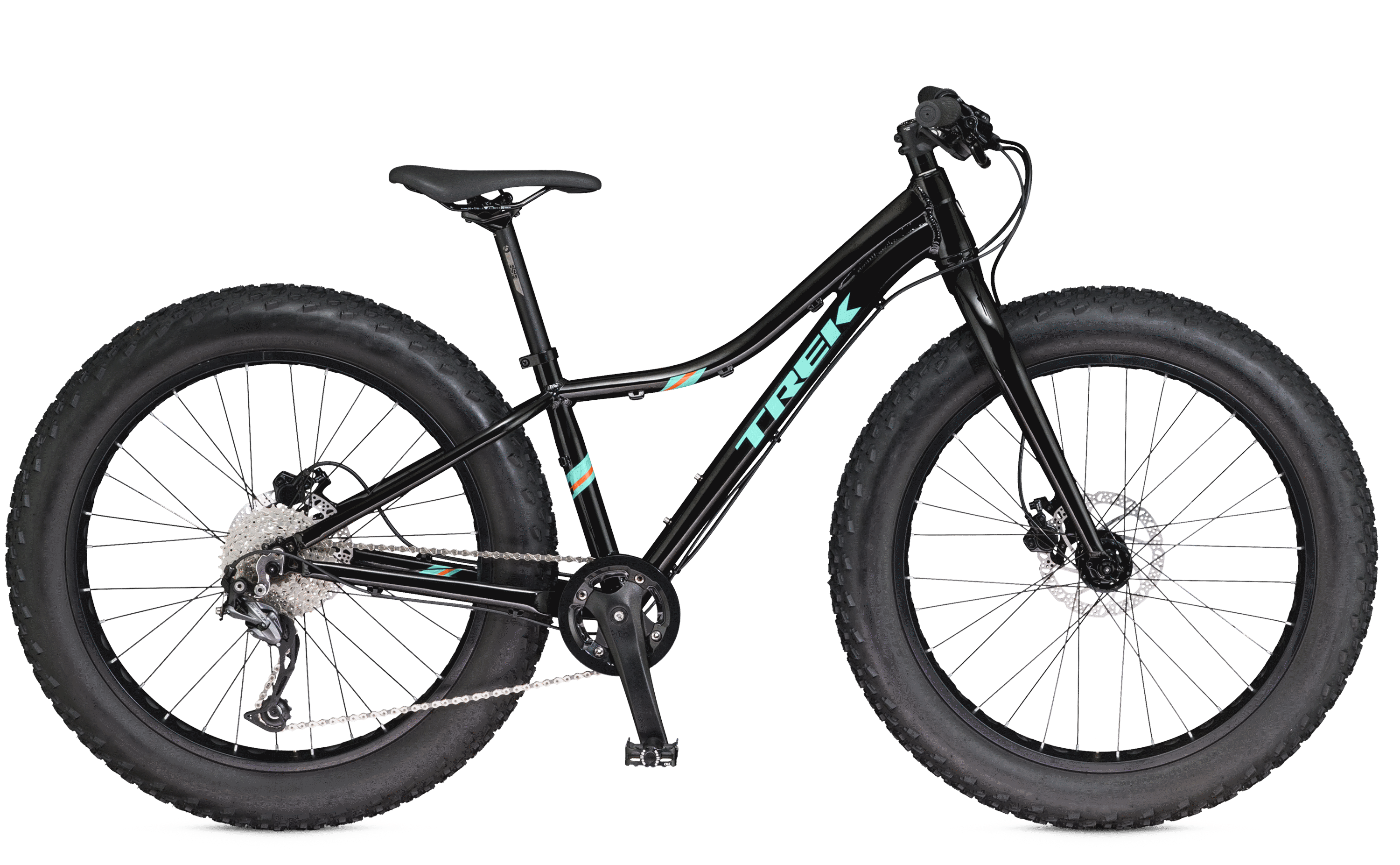 Trek Bike